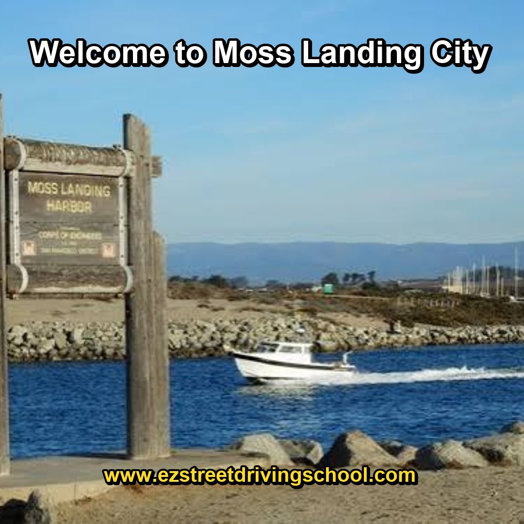 Driving Lessons in Moss Landing